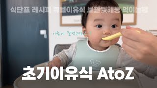 👶🏻 초기이유식 식단표 | 레시피 | 냄비큐브이유식 | 삐뽀삐뽀119 | 잘먹는 아기 | 쌀미음 애호박큐브 양배추큐브 소고기페이스트 단호박큐브 사과퓨레