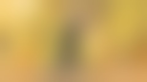 Style Select: Drunken Fist in Fighting Games