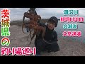 茨城県釣り場巡り【涸沼川/那珂川河口/会瀬港/久慈漁港】