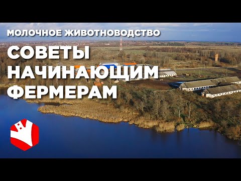 Советы начинающим фермерам | Ошибки фермеров | Молочное животноводство