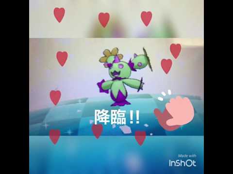 Tha birtf of God(神の誕生)マラカッチ色違い来たカッチーーーー