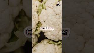 Top 6 Vegetables That Are Safe And Nutritious For Hamsters