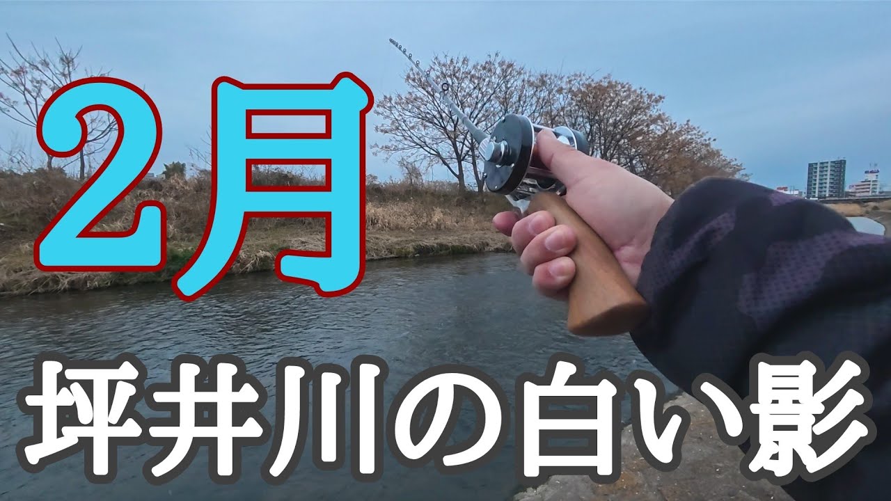 坪井川の謎の白い影 【River fishing in Japan】