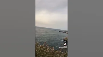 كل الصفات الجميلة حالات واتس اب 