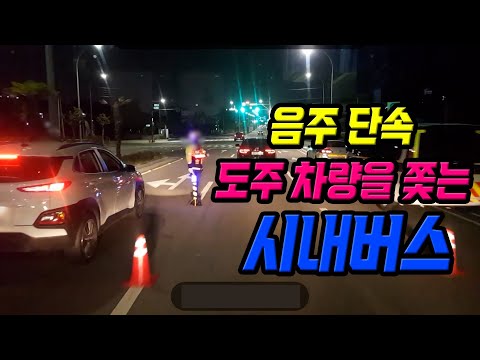 15655회. 음주 단속 거부하고 도주하는 차량을 시내버스로 쫓아갑니다!