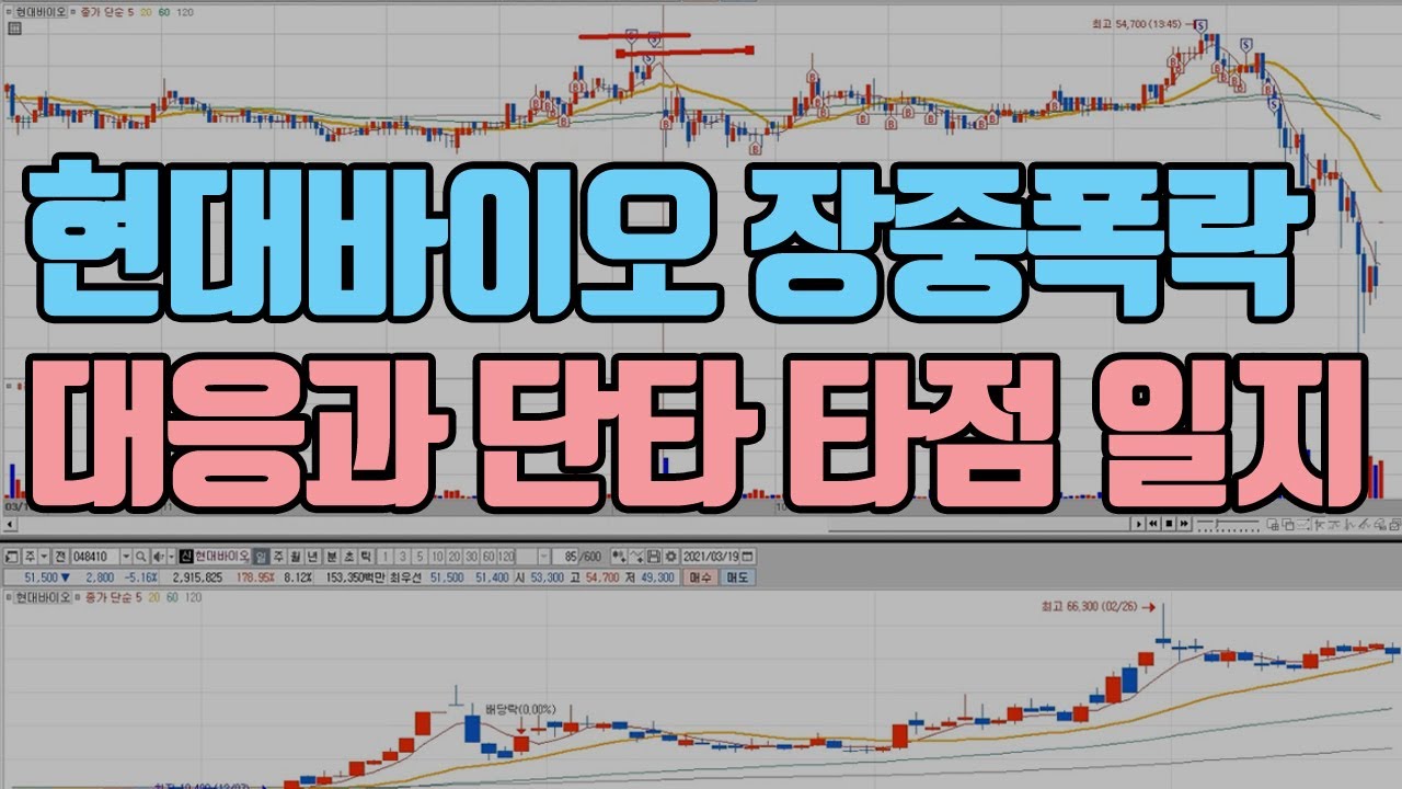 현대바이오 장중 폭락 - 장중 단타매매 일지차트 복기