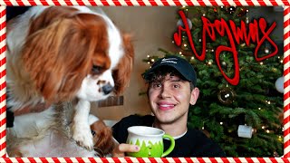 VLOGMAS #4 - už nikdy nesmíme do USA🥲🇺🇸 , eventy, haul