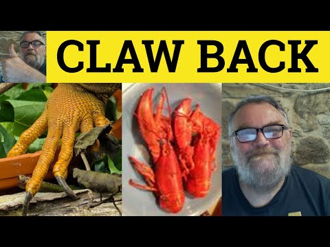 🔵 Claw Back