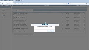 BSL Security Manager: Suppression des Work In Progress