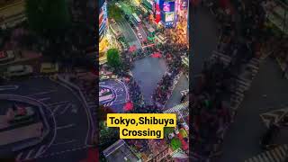 This Is Tokyos Shibuya Crossing