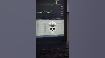 Fastest Scalper EA Bot in the World ! 🚀