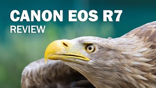 New Canon EOS R7 Review