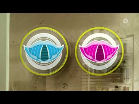 Warum bekommen Jungen einen Stimmbruch - und Mädchen nicht? | Wissen vor Acht: Mensch | Das ...