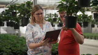 From Business Needs to a Tailored Digital Solution – an Egnosis Case Study at Dália Prod