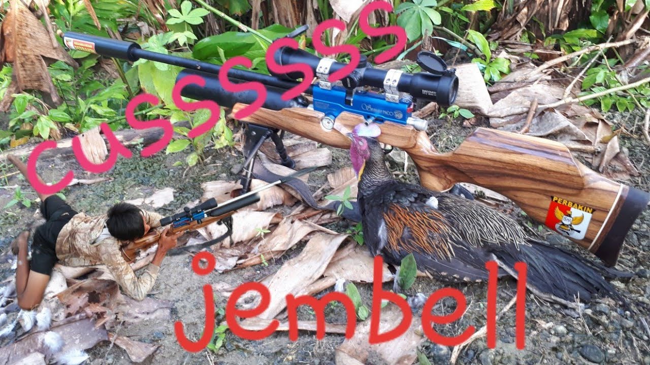 BERBURU AYAM HUTAN AYAM ALAS MANTABE 