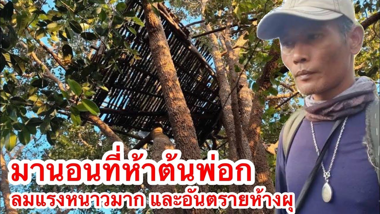 พามานอนชมบรรยากาศอยู่ห้างต้นพ่อก ลมแรงหนาวมาก และอันตรายห้างผุ 4/2/2569 | เด่นเดินดง