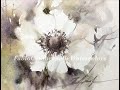 White Anemone - Aquarela/Watercolor/Demo (WITH AUDIO)