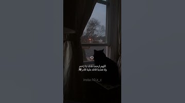 سوره العنكبوت /قرآن كريم/ عبد الرحمن مسعد/ اكتب شيء تؤجر عليه..🕊️🤍. #قرآن #اجر #عبدالرحمن_مسعد