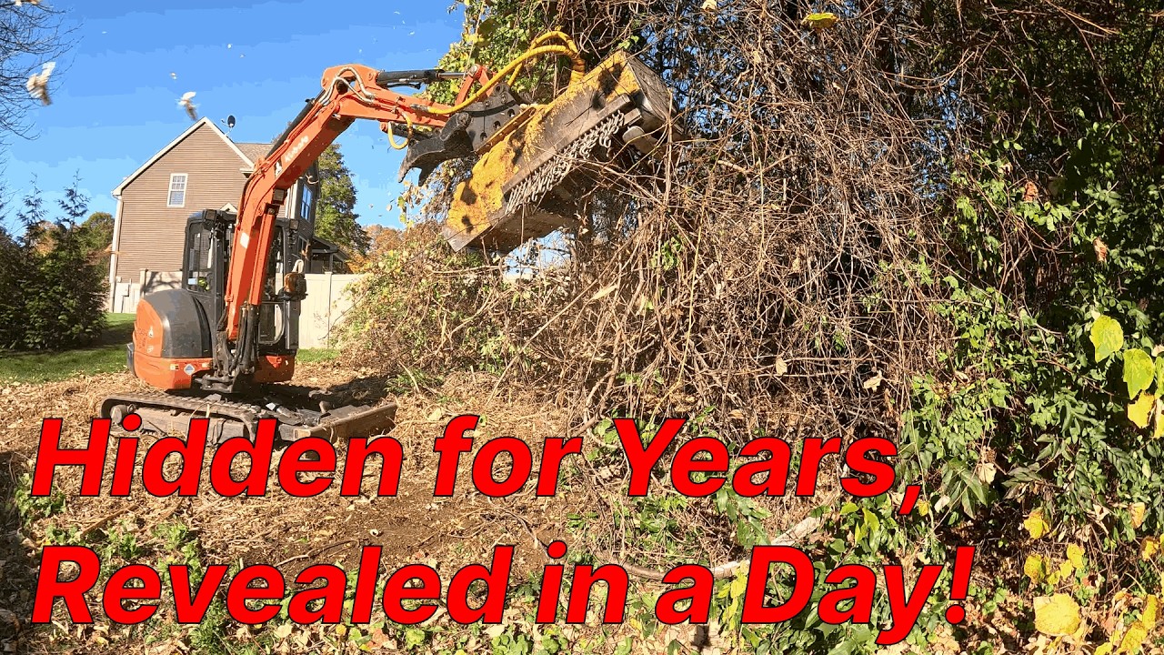 Этот задний двор был скрыт за стеной из виноградных лоз — смотрите, как начинается уборка