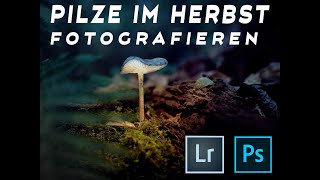 Pilze Fotografieren Im Herbst Bearbeiten In Lightroom Und Photoshop