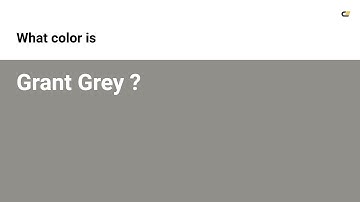 Grant Grey color #918f8a hex color - Grey color - Cool color 918f8a