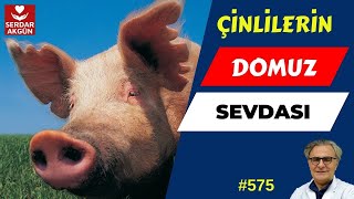 Çinlilerin Domuz Eti Sevdası, Prof.dr.serdar Akgün, Sağlıklı Yaşam, Sağlık Haberleri