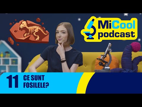 Video: Ce ne spun urmele fosilelor?