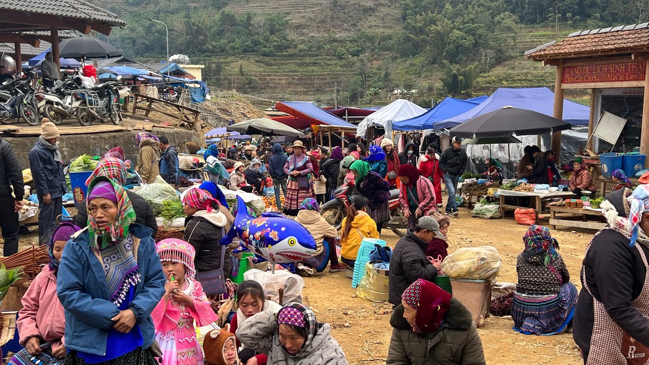 Độc lạ Chợ phiên biên giới toàn thảo dược quý 