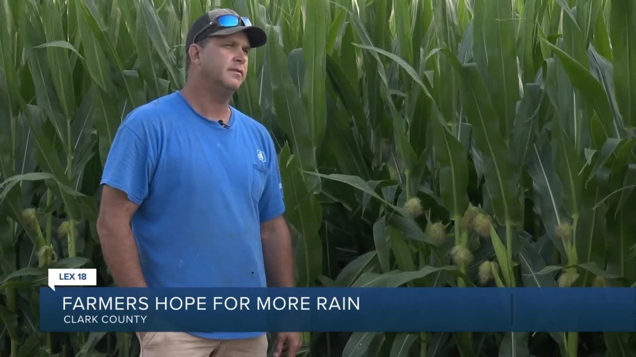 Farmers Hope For More Rain YouTube