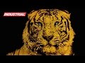 CNC Project: LED Light Art Acrylic Tiger w/Amana Tool Solid Carbide Spiral 'O' Flute Router Bits CNC Project: LED Light Art Acrylic Tiger w/Amana Tool Solid Carbide Spiral 'O' Flute Router Bits