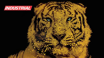 CNC Project: LED Light Art Acrylic Tiger w/Amana Tool Solid Carbide Spiral 