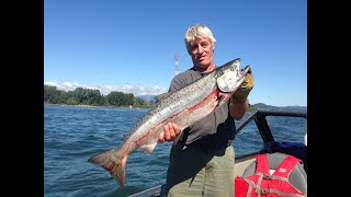 Columbia River Fall Chinook