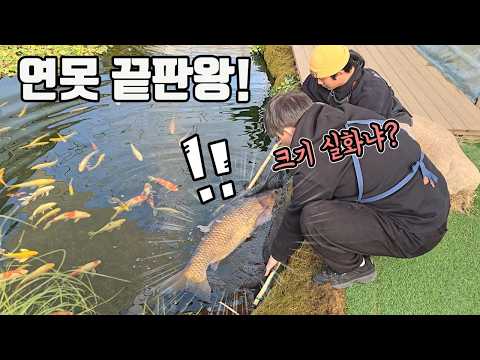 연못의 xx를 초토화시킬 역대급 생물병기가 들어갑니다!!