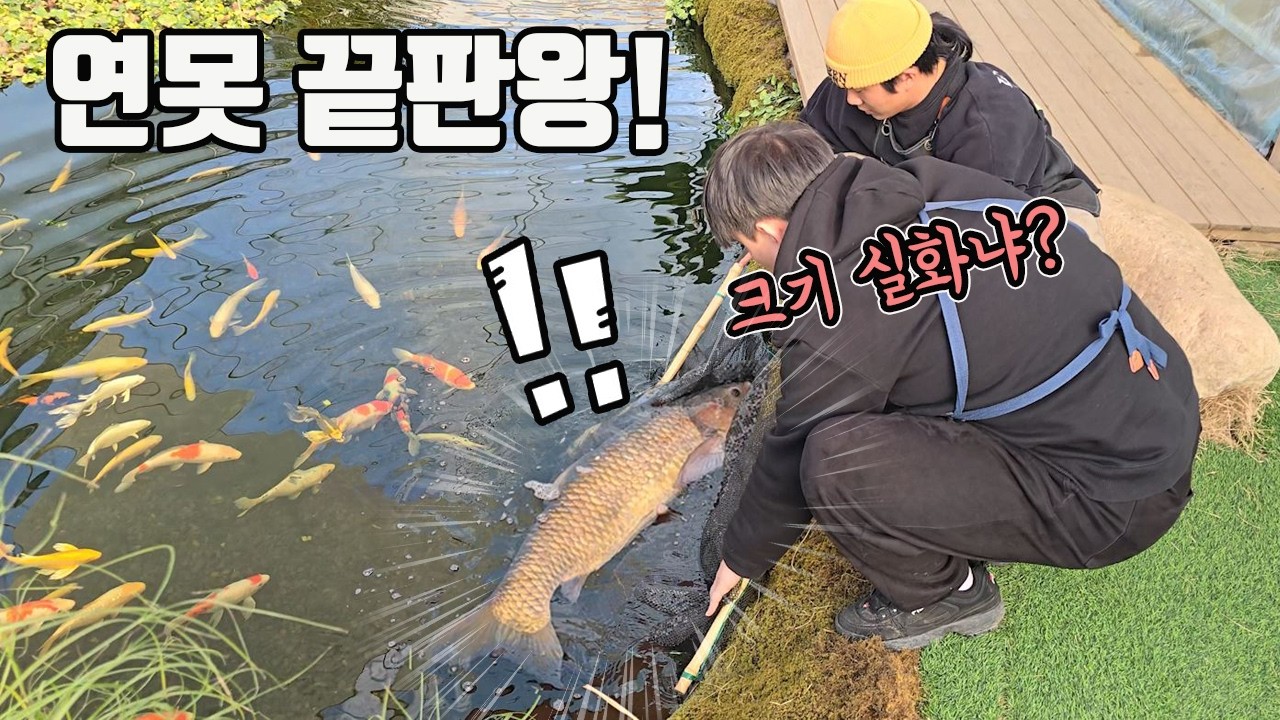 연못의 xx를 초토화시킬 역대급 생물병기가 들어갑니다!!