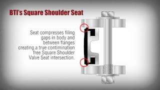 BTI Square Shoulder Butterfly Valve Seat