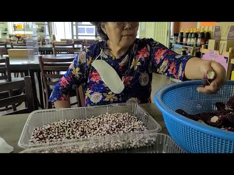 이영상 잘 보시면 치과에 갈일 없고 대장암 <strong>장청소</strong> 변비에 최고 너무나 맛있어서 한번에 15자루 뚝딱이다