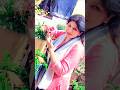 इस क म क ल ए वख त ह वख त ह Tr Trendingshorts Shorts Funnyreel Flowergarden Shortsfeed 