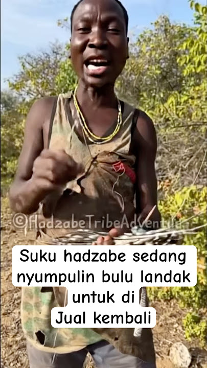 Kehidupan suku pedalaman hadzabe #hadzabetribe #primitive #veo3 #ai #sukupedalaman #africa #short