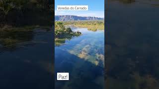 Veredas em São Domingos Goiás #natureza #viajar @meuolhartube