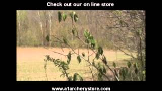 Awesome archery shot on big Missouri gobbler at Tombstone Creek Outfitting