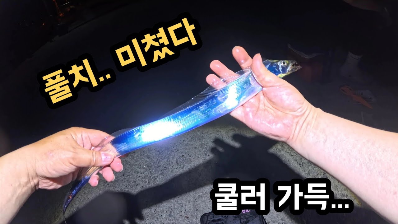 [풀치 낚시] 여수 도보권 갈치 대폭발! 전원 만쿨 조황