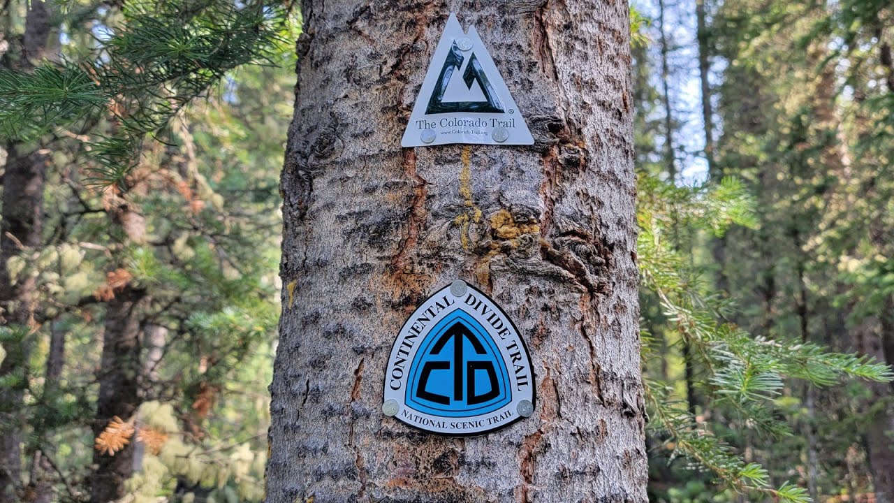 Colorado Trail Segment 6 west Jefferson Creek Trail mile 82.9 to Blair Witch TH mile 101 Day 8