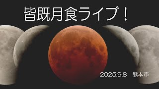 Star of Kumaの配信のサムネイル画像