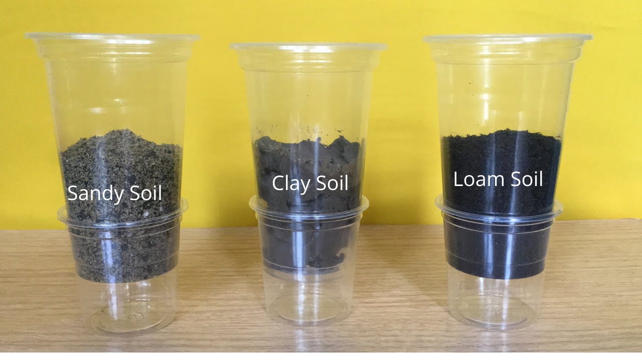 Types Of Soil | Water Flow And Absorption Test | Sand, Loam And Clay Soil