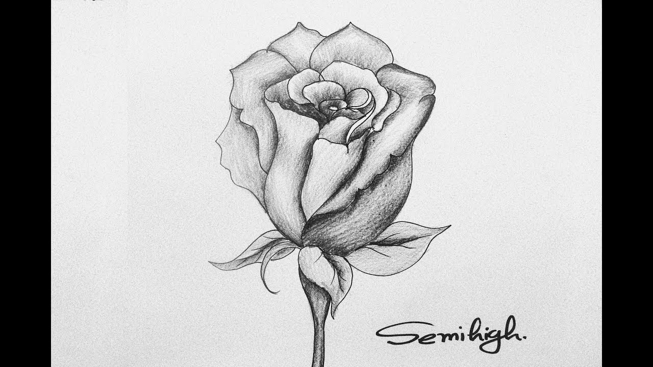 How to Draw a Rose Step by Step Tutorial  EasyDrawingTips