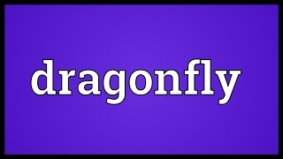 Dragonfly Meaning