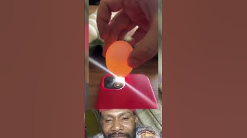 This Simple Flashlight Trick Reveals a Rotten Egg #shorts #EggTest #KitchenHacks #FoodSafety