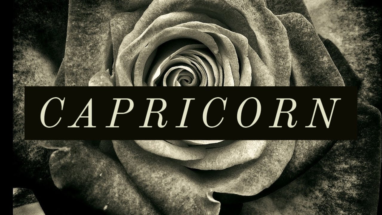 CAPRICORN..♑A LOVE CONNECTION WRITTERN IN THE STARS ✨..25TH NOV - 1ST DECEMBER 2021