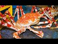 Japanese Giant Crab − Japanese street food