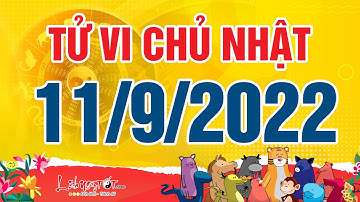 Xem tử vi hàng ngày - Tử vi Chủ Nhật ngày 11 tháng 9 năm 2022 của 12 con giáp AI TIỀN VỀ NGẬP KÉT